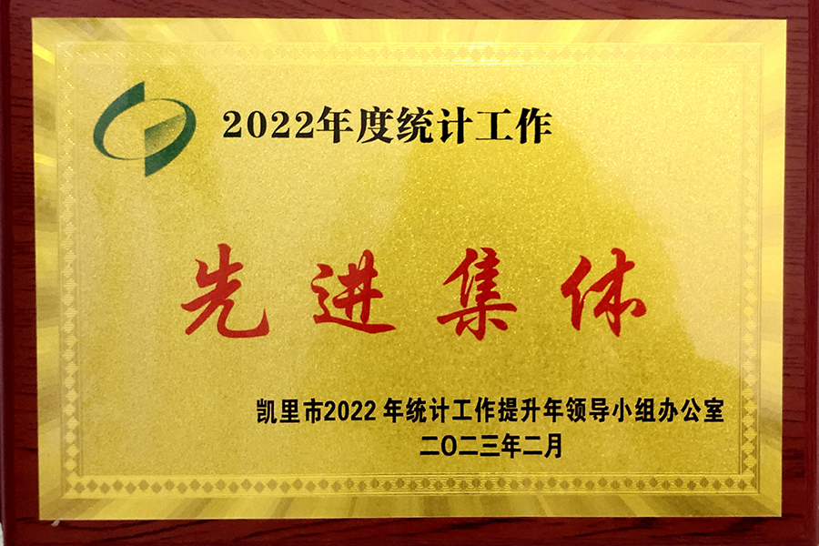 凱里市2022年度統(tǒng)計(jì)工作“先進(jìn)集體”榮譽(yù)稱號-貴州生物制藥